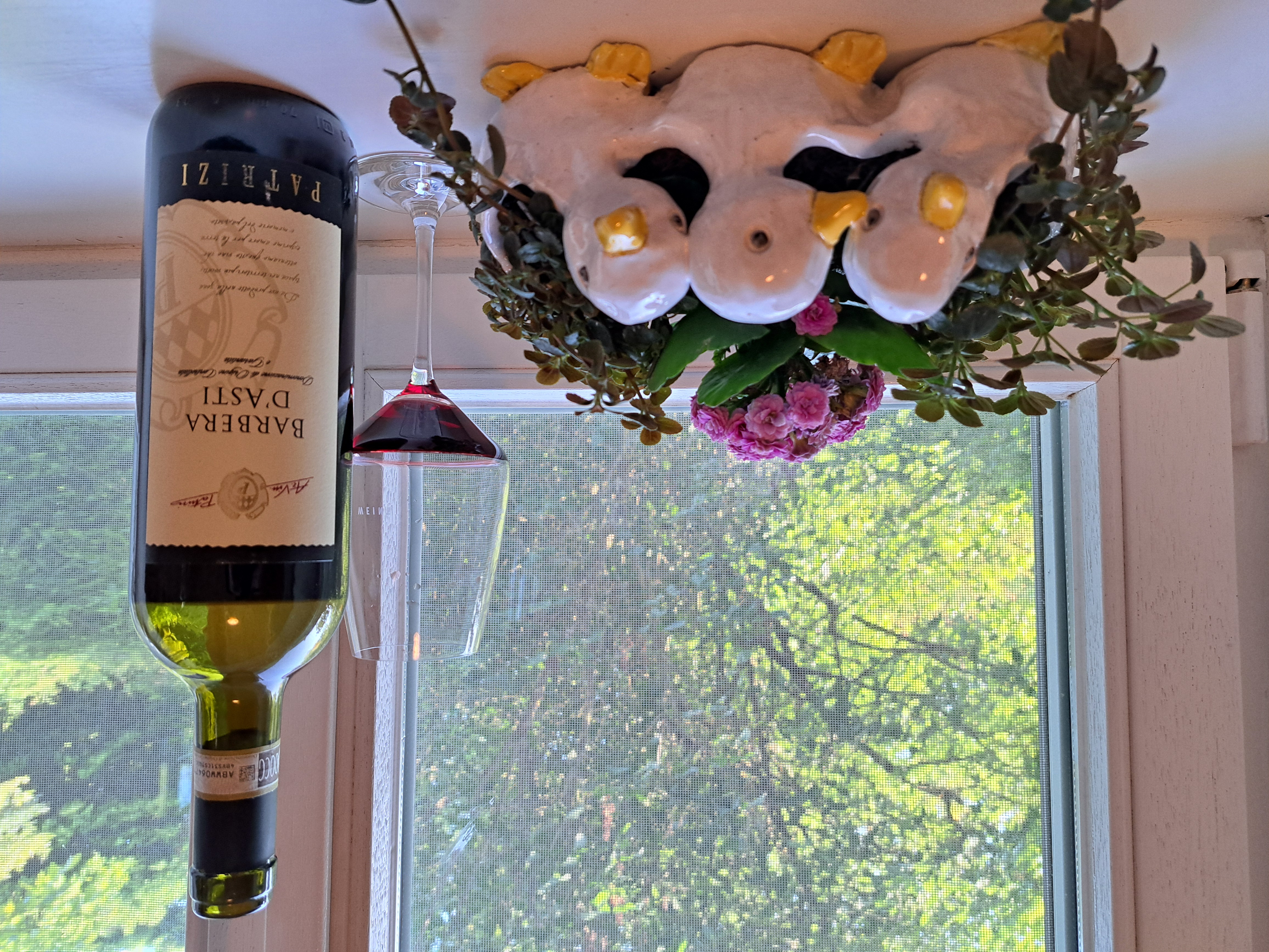 2019 Patrizi Barbera d'Asti DOCG